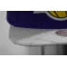 Snapback lakers