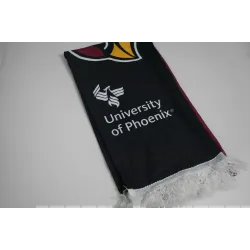 Bufanda University Of Phoenix