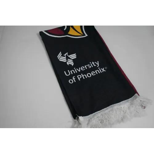 Bufanda University Of Phoenix